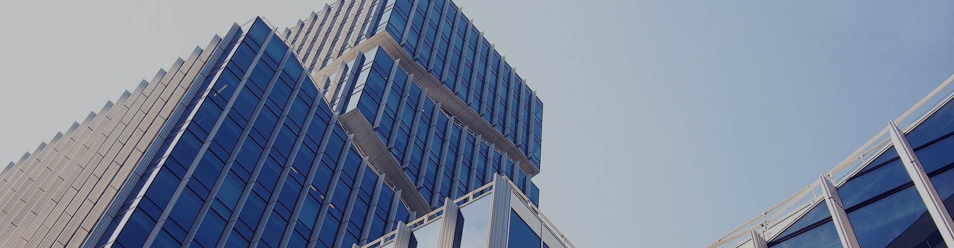 �ط����Ÿ���